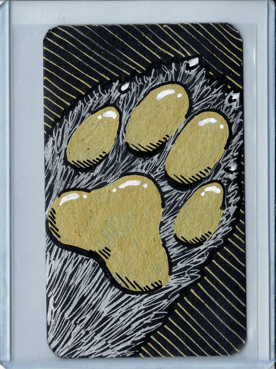 14 - The Paw