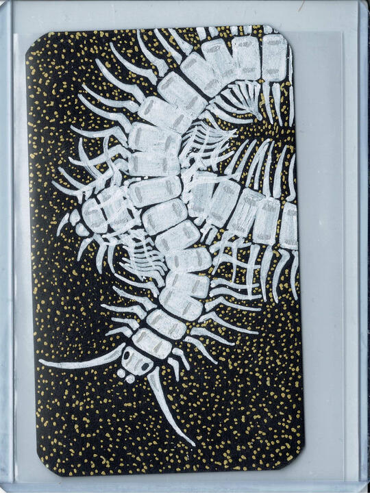 03 - Centipede (sold)
