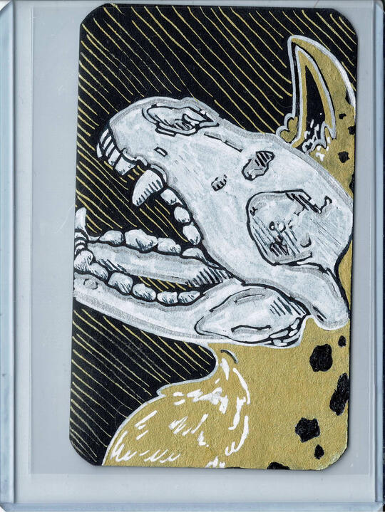01 - Hyena Skull