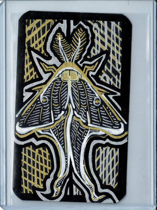 11 - Luna Moth (sold)