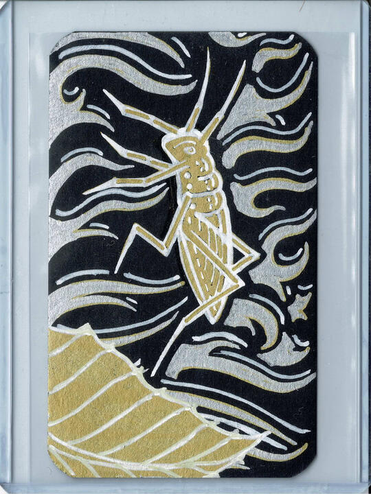 07 - Florida Grasshopper